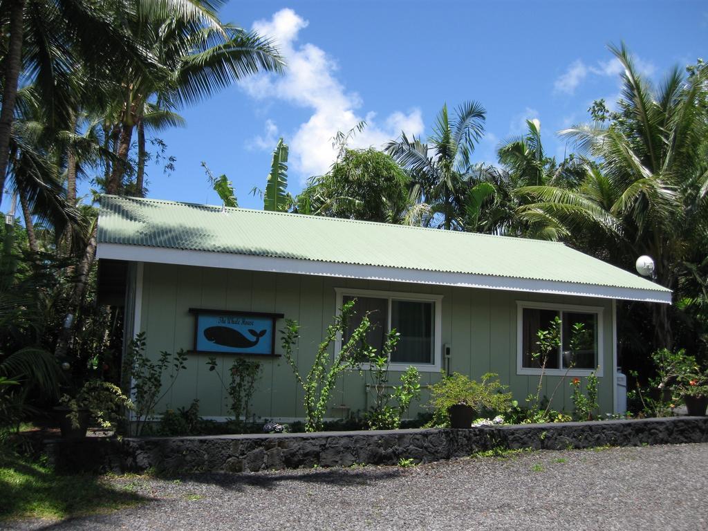Whale House At Kehena Beach Pahoa Стая снимка