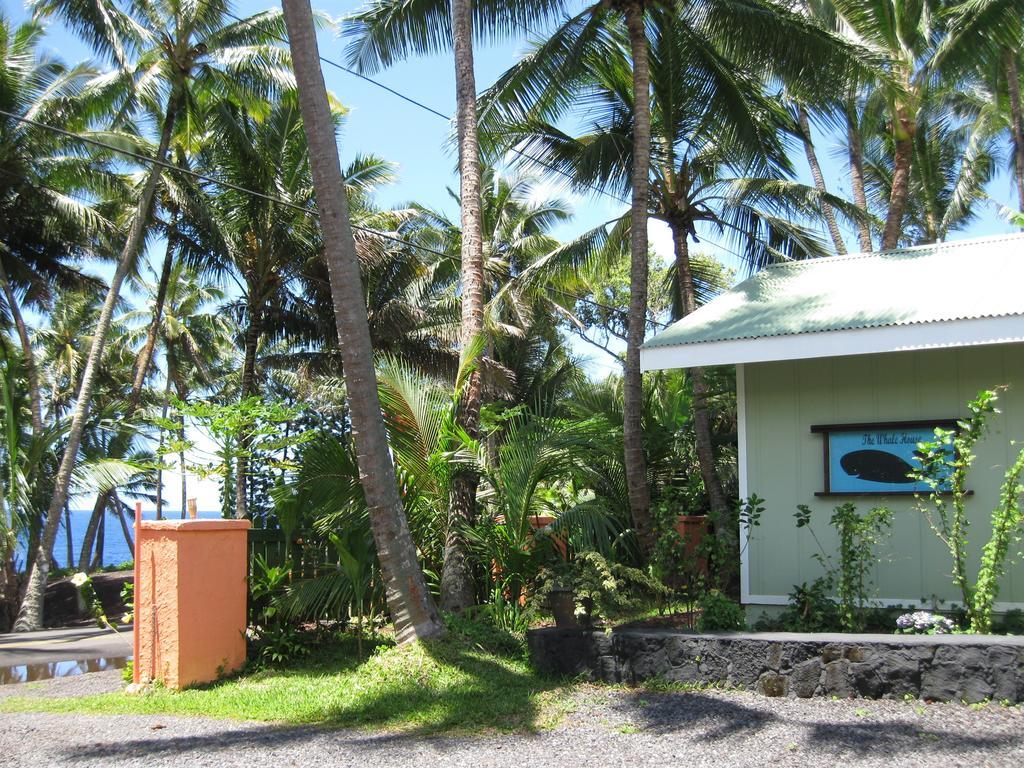 Whale House At Kehena Beach Pahoa Стая снимка