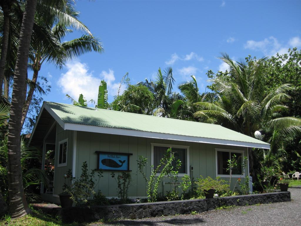 Whale House At Kehena Beach Pahoa Стая снимка