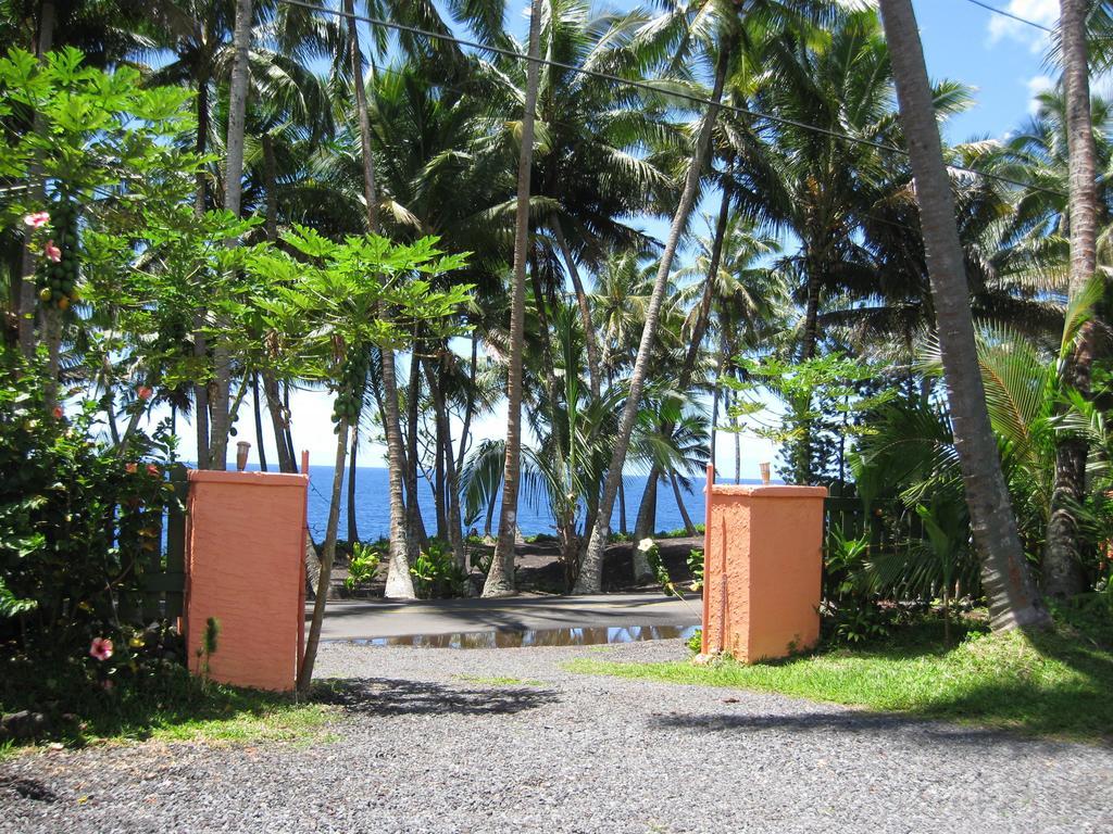 Whale House At Kehena Beach Pahoa Стая снимка