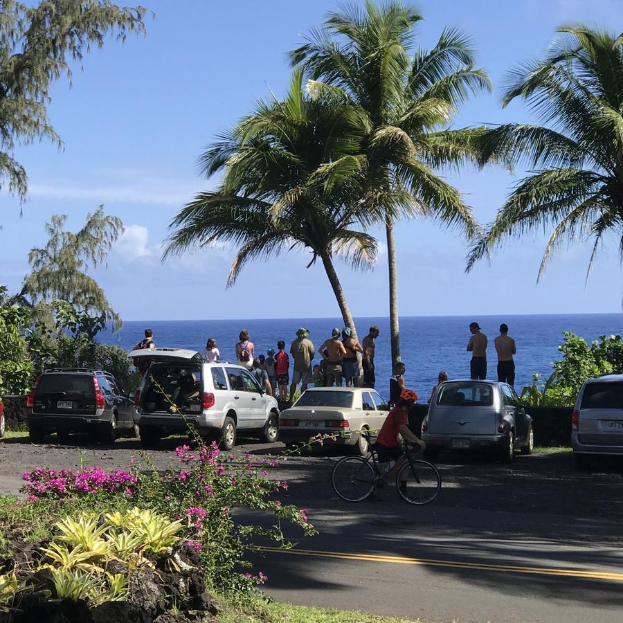 Whale House At Kehena Beach Pahoa Екстериор снимка